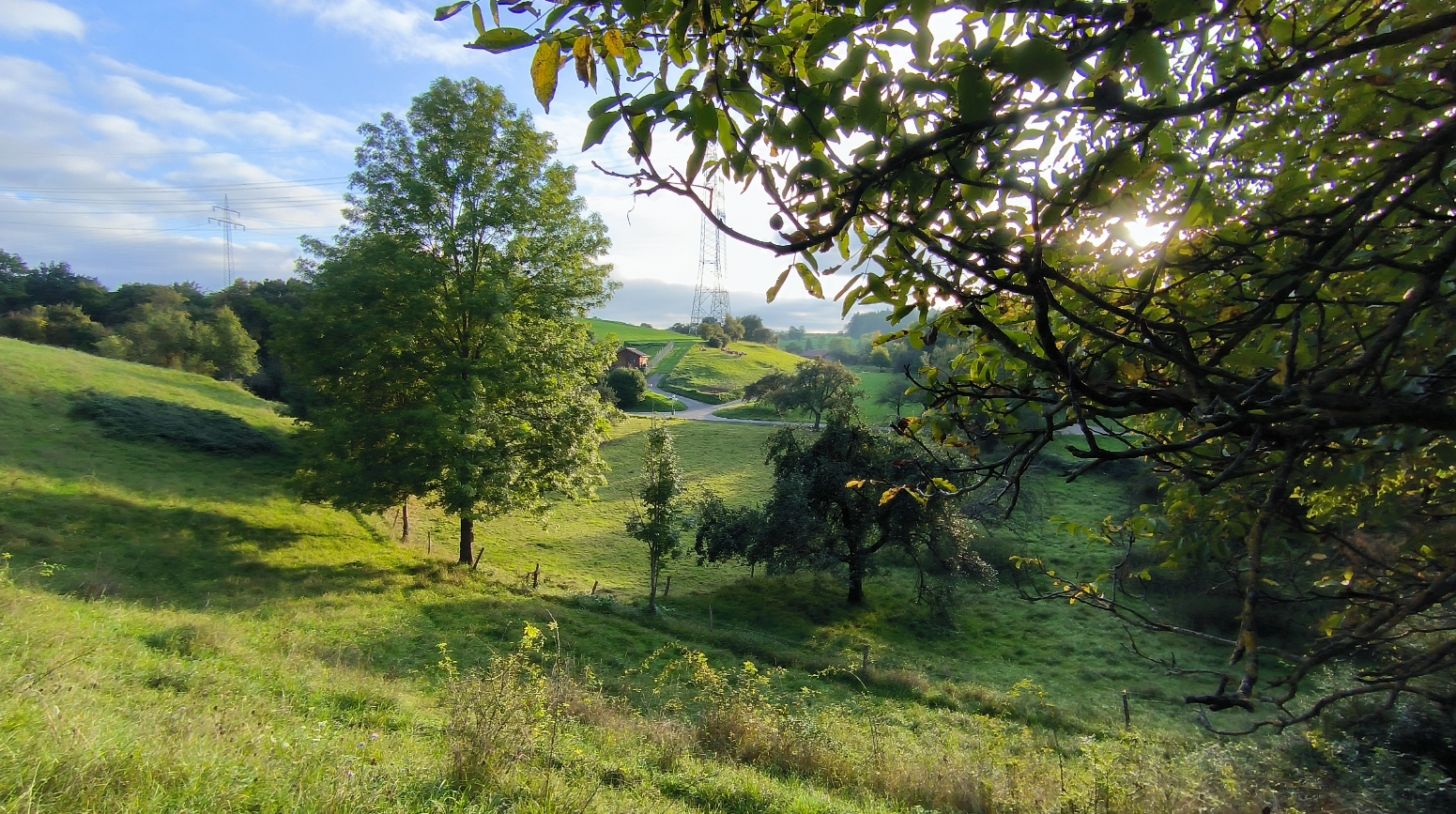 Das Bild zeigt eine weitläufige, hügelige Landschaft, die von Sonnenlicht durchdrungen wird, mit Bäumen und Sträuchern im Vordergrund und einer idyllischen Szene im Hintergrund.